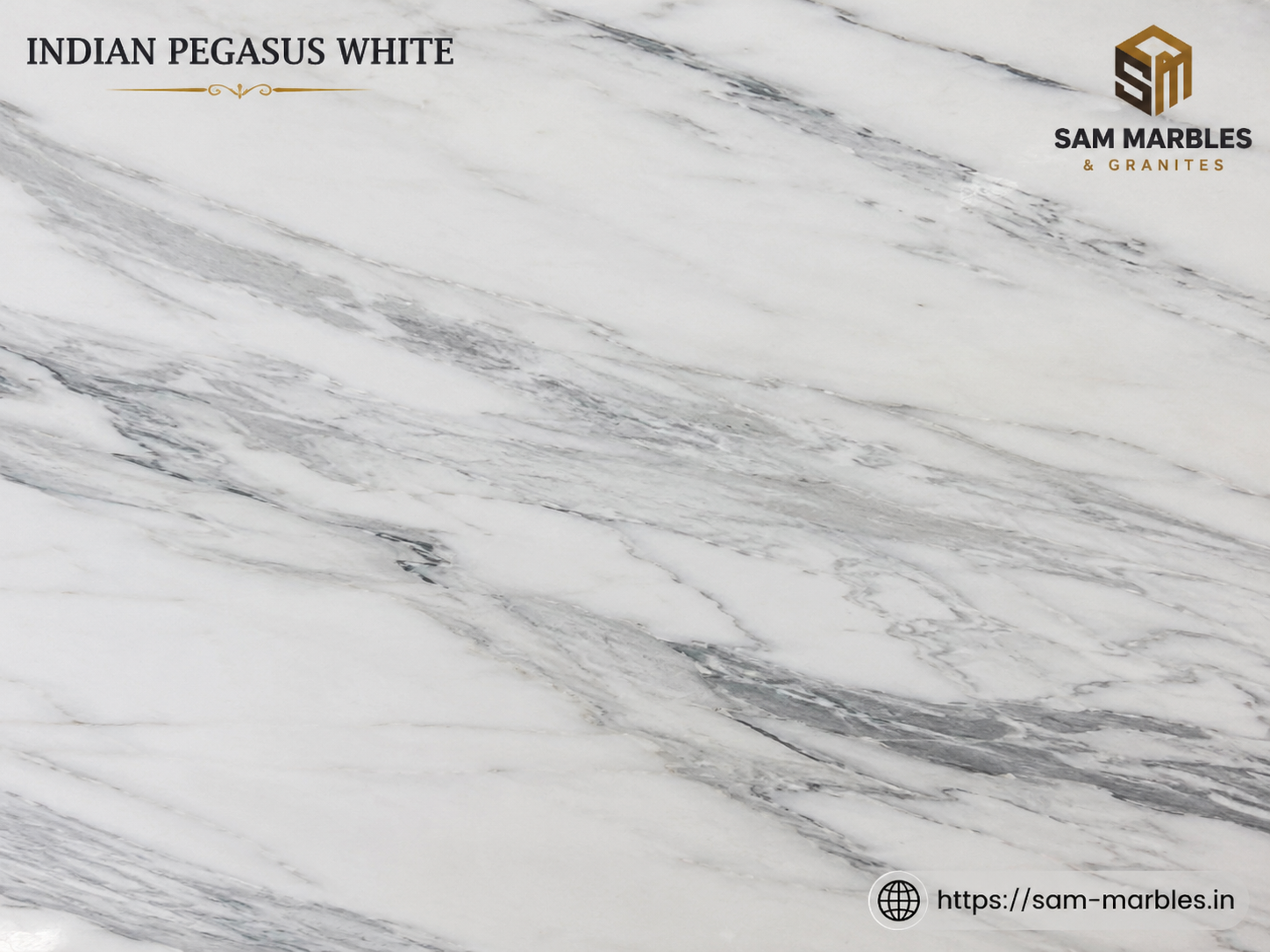 Indian Pegasus White